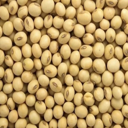 Soyabean Exporters